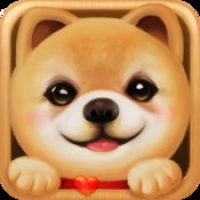 1991e金沙澳门棋牌最新版下载-1991e金沙澳门棋牌安卓版下载